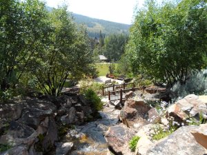 Betty Ford Alpine Garden - Vail